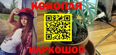 jwh Кимры