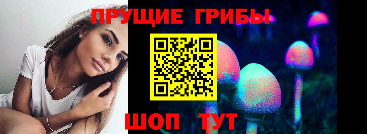 Псилоцибиновые грибы Psilocybine cubensis  купить наркотик  Конаково  Вход с VPN 